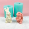 3D Easter Rabbit Silicone Candle Mold for Resin Clay Chocolate Decorating Tool