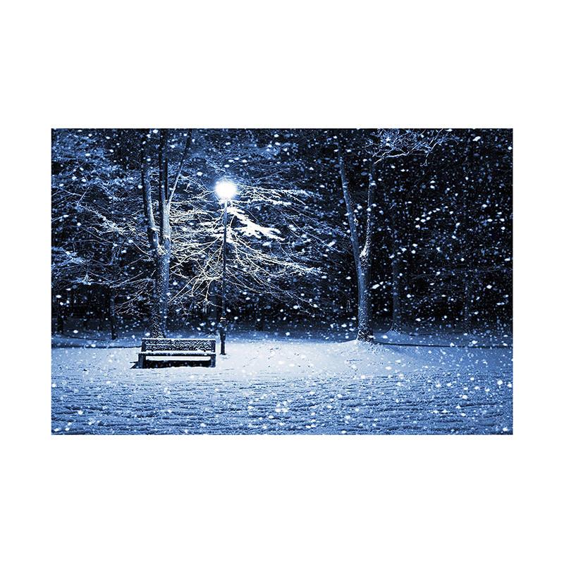 Winter Wonderland Themed Background,Christmas Photography Backdrop,for Parties and Holiday Photography Backdrops,Photo Studio
