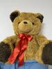 [USED] Teddy Bear, 30cm or More In Length and Width