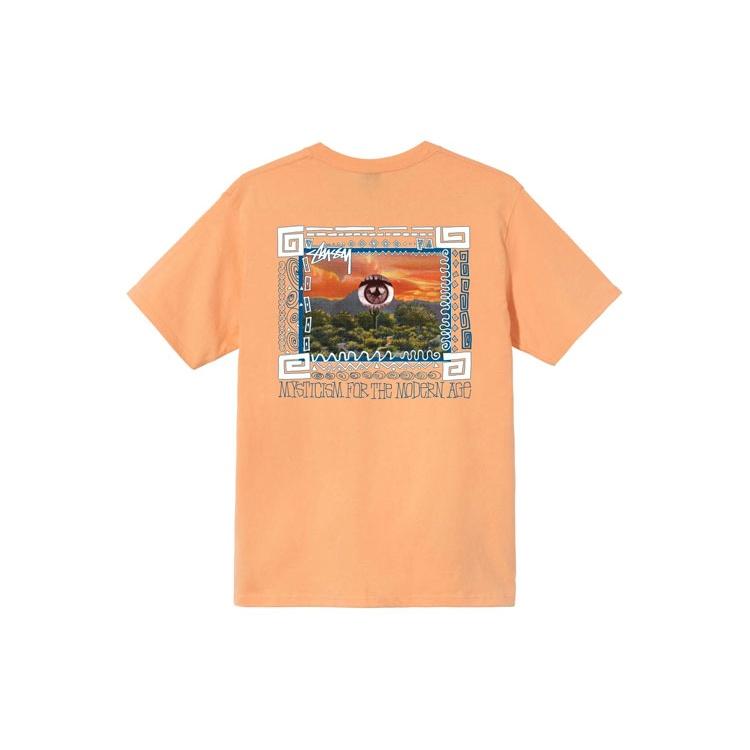 Stussy Tee Unisex 1904661