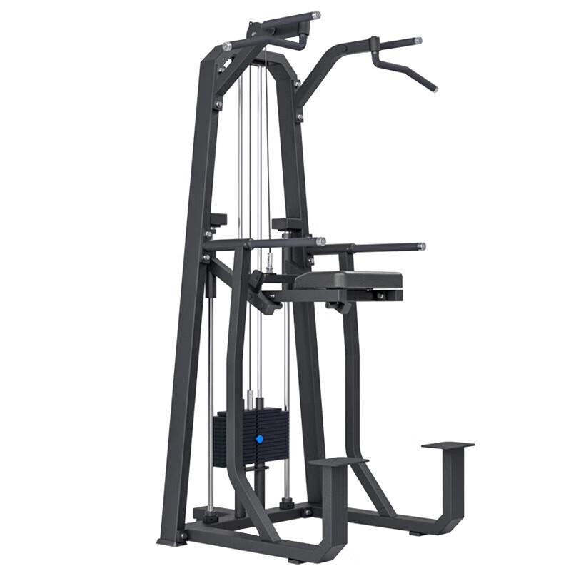 Assisted Pull-Up and Dip Station