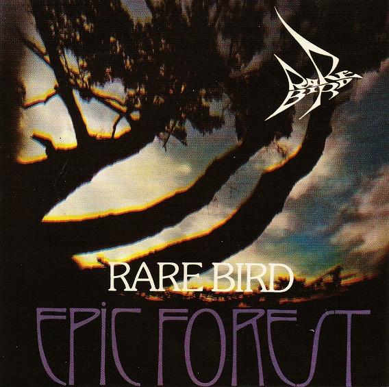 

CD RARE BIRD - Epic Forest RF604 Red Fox Records 1998 Франция Рок Б/у