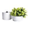 Hidden Safe Flower Pot Money Storage Box Surprise Separable Security Container Stash Safe Box Stash Jars Piggy Bank
