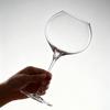 PREMIUM BY CRISON Large Belly Lead-Free Crystal Wine Glass, High-End Stemmed Glass