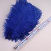 10Pcs 30-35cm Ostrich Feathers for Crafts Wedding Decoration 12-14" Handicraft Accessories Table Centerpieces Carnival Plumas