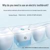 BAIR A6 Electric Toothbrush CN plug (adapter included)