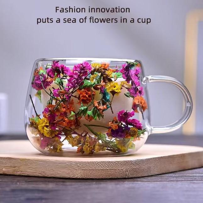 Doppellagiger Glasbecher mit konservierter Blume - Hitzebeständiger Borosilikatglasbecher für Kaffee oder Milch.