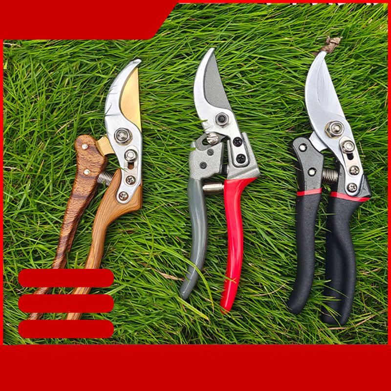 CNXIAOT SK5 Blade Garden Pruning Shears CN plug (adapter included)