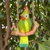 Bird Decor Realistic Funny Tropical Parrot Ornament Decorative Bird Art Collectible Figurines for Outdoor Patio Porch Garden
