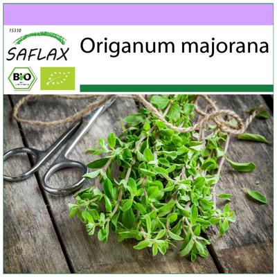 Organic - Marjoram - 700 Seeds - Origanum Majorana