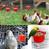 A Top Quality 12Pcs Chickens Rabbit Feeders for Cage,Hanging Chicken Water Feeder Cup, Plastic Birds Feeders Seed Bowl