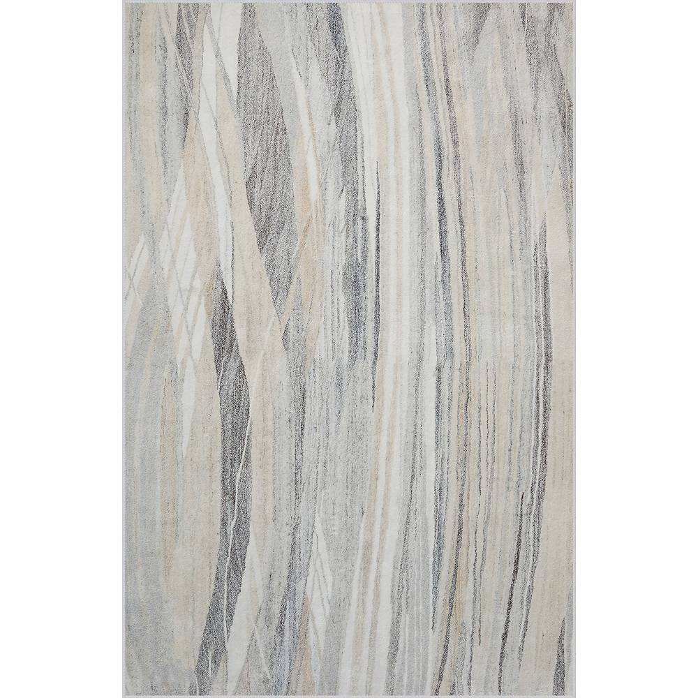 Rovigo Home Washable Printed Carpet RVGHOME0597