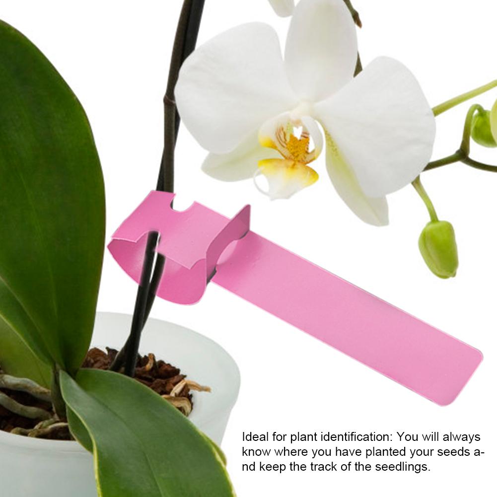 100pcs Plastic Nursery Garden Decor Stake Tags Plant Labels Lawn Ornament Pink