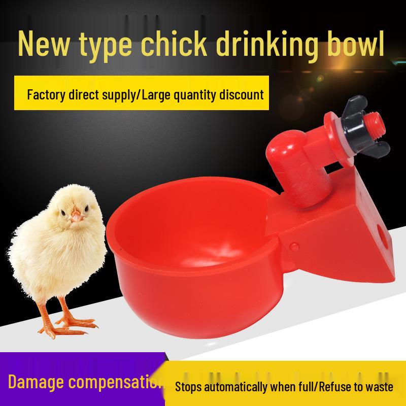 Automatic Drinking Bowl for Baby Chicks, Ducks, Geese, and Quails