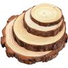 DIY Hand-Painted Wooden Slices for Crafts and Kindergarten Decor – Small Natural Wood Pieces with Growth Rings