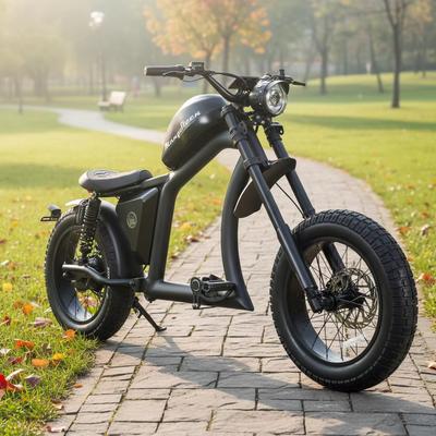 EU Warehouse Free Shipping 1000W Ebike 48V 22.5Ah Mountain E- Bike Tire Fat Electric City Bike 45KM/H COC Electric Bicycle