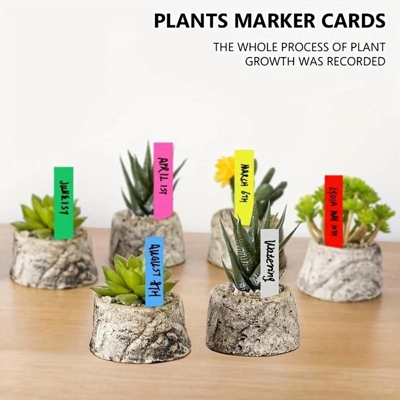 100Pcs Reusable Labels for Plants Classification Plants Hang Tag PVC  Labels Garden Flower Pot Plastic Waterproof