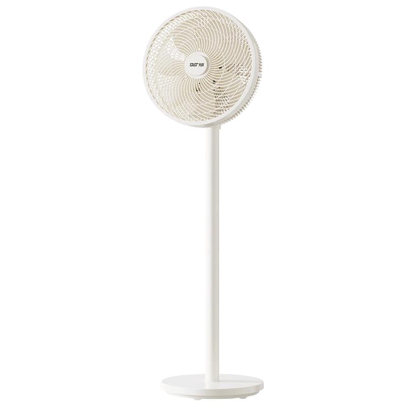 SAST Convertible Electric Fan CN plug (adapter included)