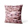 Aertemisi 18'' x 18'' Bingus Hairless Sphynx Cat Square Throw Pillow Cushion Covers Cases Pillowcases for Sofa 45cm x 45cm