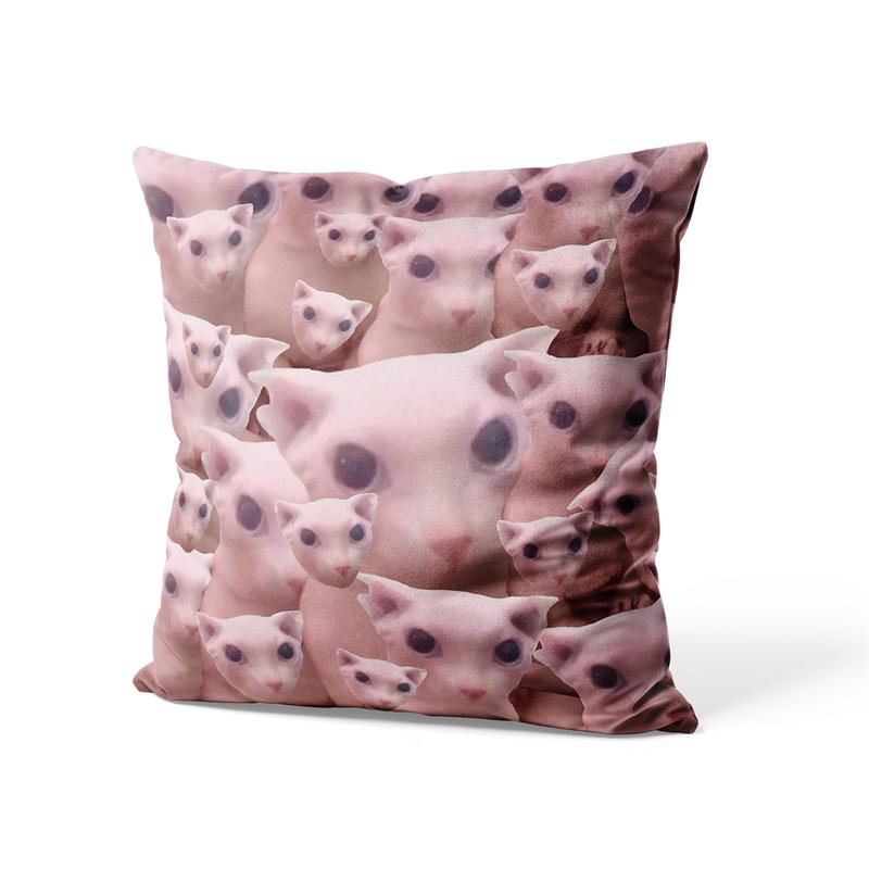 Aertemisi 18'' x 18'' Bingus Hairless Sphynx Cat Square Throw Pillow Cushion Covers Cases Pillowcases for Sofa 45cm x 45cm