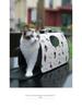 Multi-Color Portable Cat Backpack - Breathable, Foldable, Large Space, Single Shoulder Design for Travel