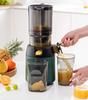 220V Slow Juicer Kaltpress-Extraktor Filterfrei Leicht zu reinigen Elektrische Fruchtsaftpresse Maschine Großer Durchmesser Kommerziell