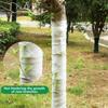 1Pcs Tree Trunk Protector Plastic Spiral Tree Trunk Protector Wrap Tree Bark Protector Tube to Protect Saplings from Animals
