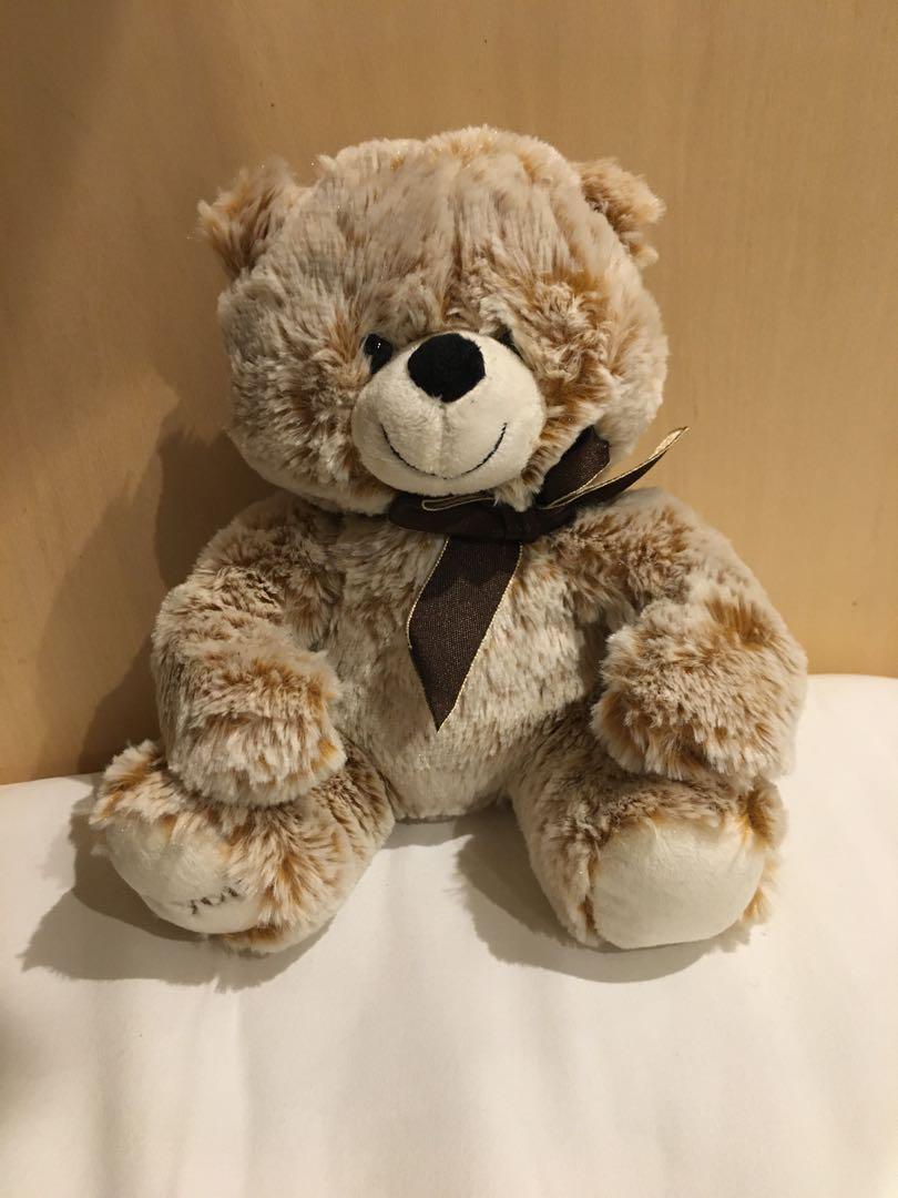 

[USED] Teddy bear