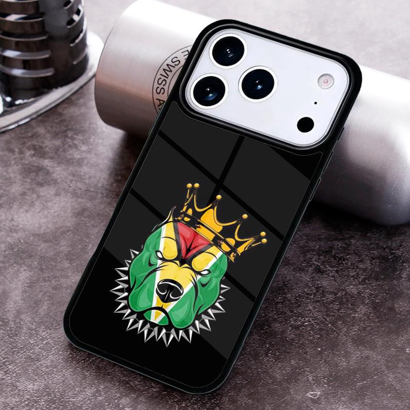 Guyana Flag Phone Case for iPhone 17 16 15 Pro Max Air 14 13 12 11 Plus Shockproof Cover