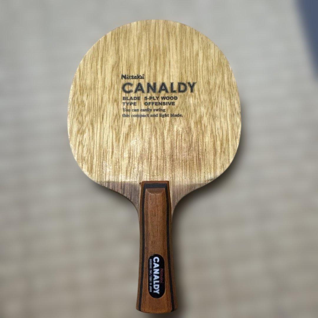 Used Nittaku Canardi racket