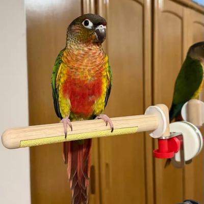 DIY Suction Cup Bird Climbing Perch Comfortable Grip Easy To Install Parrot Standing Perch with Tray Stable Non-slip