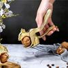 A96I-Schiaccianoci Sgusciatore Apri Guscio Multifunzione Forma di Scoiattolo Veloce Pinza per Pinoli Noci Pecan Nocciole Mandorle Noci Pecan Schiaccianoci