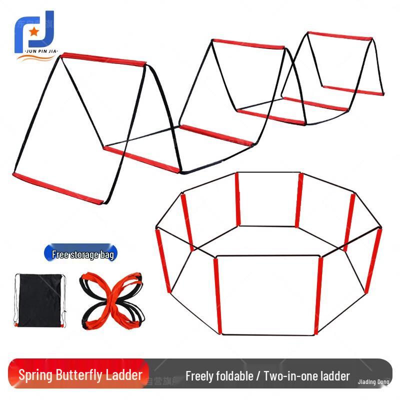 Sports Agility Training Ladder