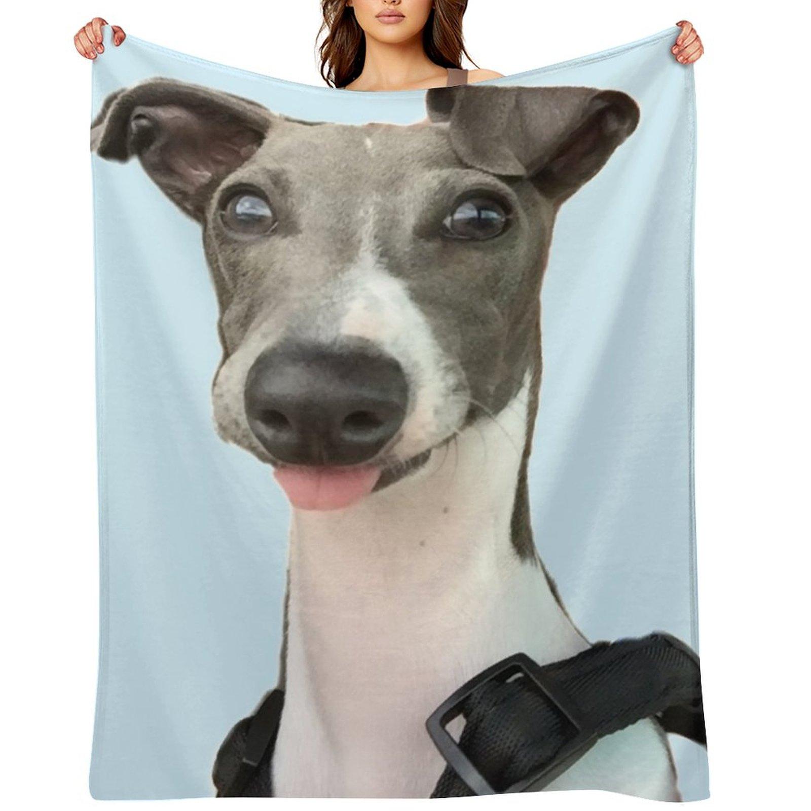 Italian Greyhound Throw Blanket Beautifuls for sofa Loose Moving Blankets 30x40in