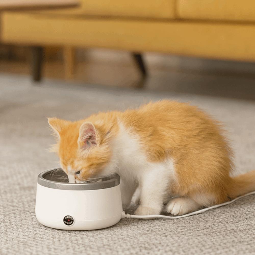 Elektryczna Miska Grzewcza dla Psa Ze Stali Nierdzewnej Fontanna do Wody dla Kota Podgrzewana Miska na Wodę dla Psów Kotów