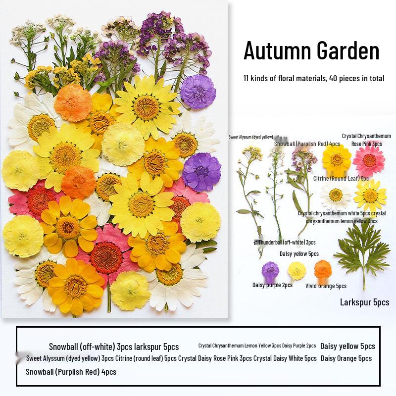 Handmade Resin Pressed Flower Bookmark DIY Kit: Transparent Specimen Stickers & Dried Flowers for Students