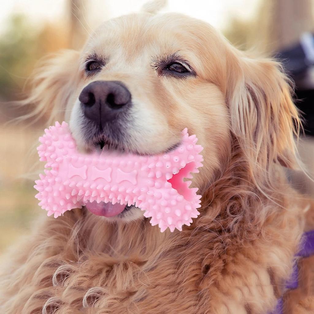 Küçük Köpekler İçin Köpek Oyuncakları Yok Edilemez Köpek Oyuncağı Diş Temizleme Çiğneme Eğitim Oyuncakları Evcil Hayvan Malzemeleri
