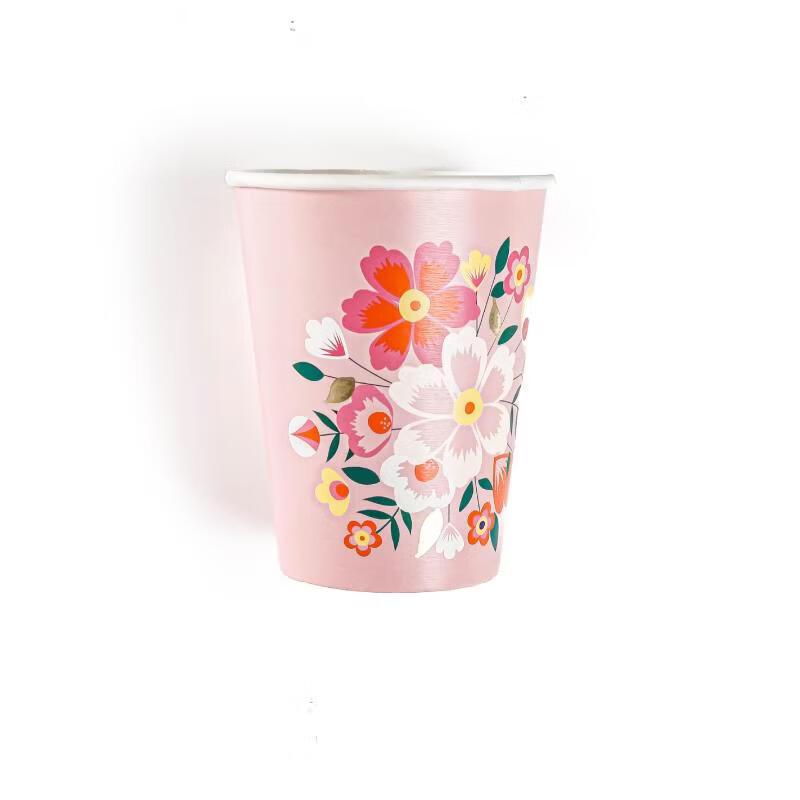 OIMG Disposable Party Paper Plates and Cups Set