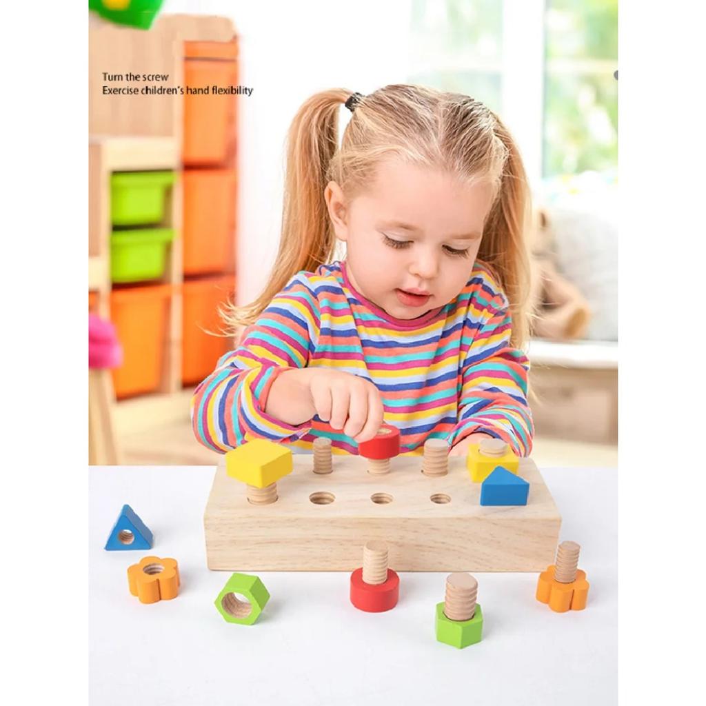 Wooden Nut Bolts Building Blocks Color Shape Sorter Toys Kids Montessori Matching Game Education Sensory Toys Fine Motor Skills
