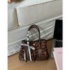 Versatile Leopard Print Textured Small Bag Women's 2025 New Messenger Bag Daily Women's Portable Bucket Bag Shoulder Women's Bag