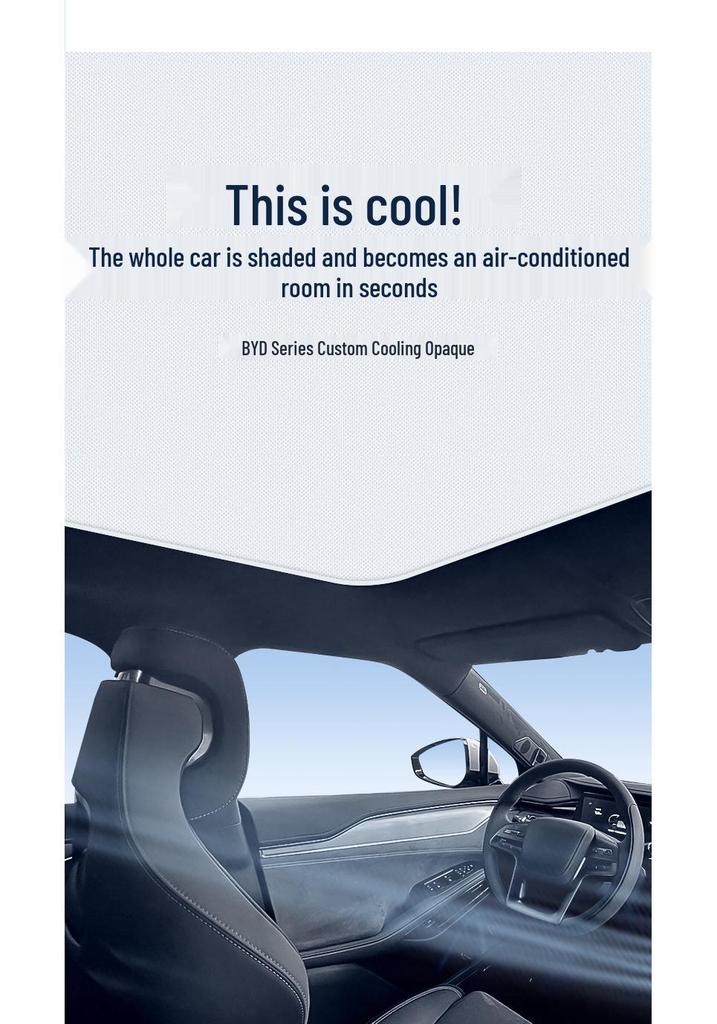 BYD Seal EV/DM-i Dolphin Han EV, DM Song L Plus Sea Lion Electrostatic Sunroof Shade