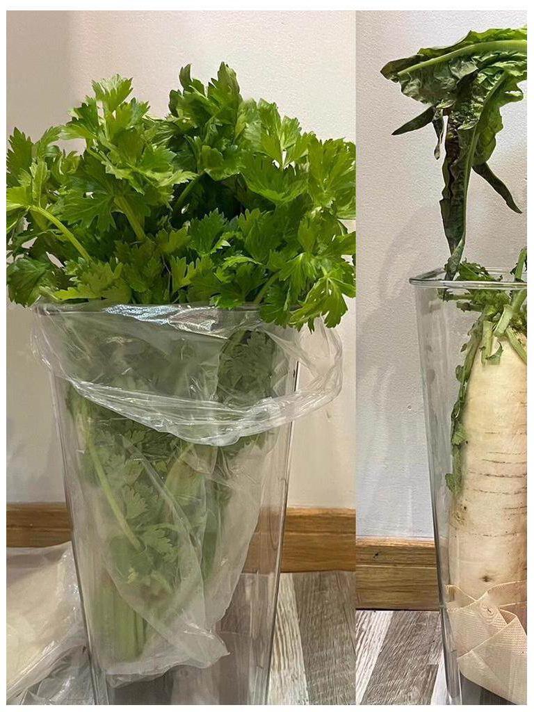 Large Capacity Transparent Kitchen Organizer for Scallions, Yams, Ginger, and Garlic
