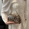Exquisite Texture Small Bag Female New Chain Crossbody Bag Fashion Leopard Print Portable Dinner Bag Handbags AVE