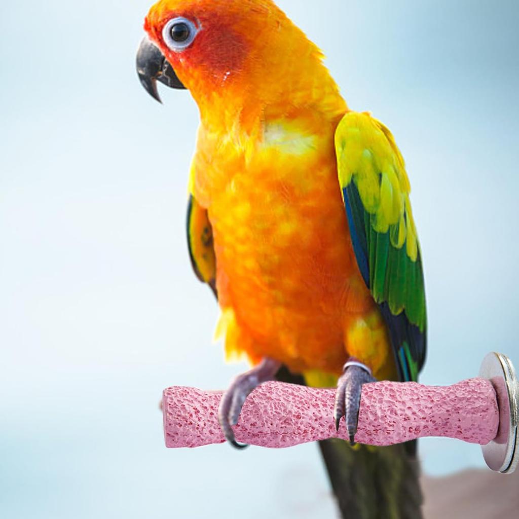 Bird Perch Perch Grinding Sticks Parrot Claw Grinding Stick for African Grey Cockatoo and Parakeets