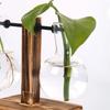 Glass Vase Hydroponic Plant Container Desktop Planter Wooden Vase Stand Bulb Water Planting Propagation Flower Vase Planters