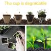 Durable 10 Holes Seedling Starter Tray Germination Peat Pot Suitable For Various Vegetables Plant In Garden Balcony Or Farm
