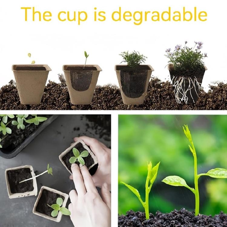 Durable 10 Holes Seedling Starter Tray Germination Peat Pot Suitable For Various Vegetables Plant In Garden Balcony Or Farm