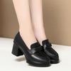 Fashion High Heels Spring New Thick Heels Mother's Shoes Deep Mouth Single Shoes For Women Thick Sole Hosting Etiquette Leather Shoes