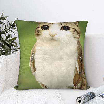 Pet Cat Funny Memes Pillow Cover Kawaii Pillow Case For Couch Sofa Bedroom Square Pillowcases Gift