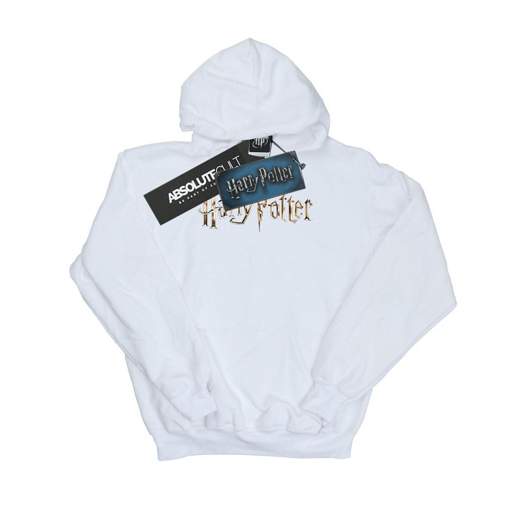 Harry Potter Womens/Ladies Full Colour Logo Hoodie